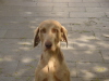 Bild 112